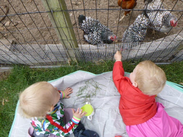 Zorgen voor de dieren